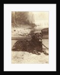 Portrait of a dog who saved the life of W.A. Blokhuis in the fire at his factory at night on 20-21 July 1886 by Abraham Koorenhoff