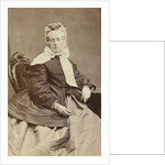 Portrait of a woman by H.P.J. Schuiten