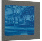 Wooden houses with trees, USA by Anonymous