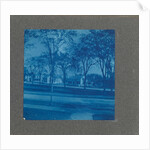 Wooden houses with trees, USA by Anonymous