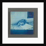 Reclining cat, United States, USA by Anonymous