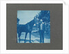 Man holds horse by the reins, United States, USA by Anonymous