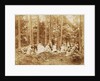 Group portrait of 23 men and women during a picnic in a forest by Henry Pauw van Wieldrecht