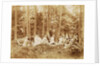 Group portrait of 23 men and women during a picnic in a forest by Henry Pauw van Wieldrecht