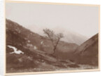 Mountain landscape with bare tree and some snow, Italy or France by Henry Pauw van Wieldrecht