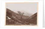 Mountain landscape with bare tree and some snow, Italy or France by Henry Pauw van Wieldrecht