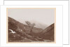 Mountain landscape with bare tree and some snow, Italy or France by Henry Pauw van Wieldrecht