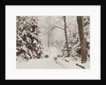 snowy forest by Henry Pauw van Wieldrecht