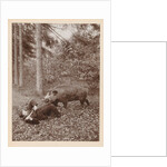 Maarten Pauw van Wieldrecht with dagger efflorescent against offensively (set up) wild boar by Henry Pauw van Wieldrecht