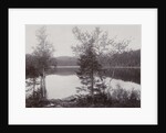 Trees Lakeside (Norway?) by Henry Pauw van Wieldrecht