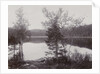 Trees Lakeside (Norway?) by Henry Pauw van Wieldrecht