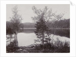 Trees Lakeside (Norway?) by Henry Pauw van Wieldrecht