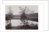 Trees Lakeside (Norway?) by Henry Pauw van Wieldrecht
