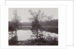 Trees Lakeside (Norway?) by Henry Pauw van Wieldrecht