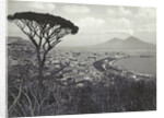 Napoli panorama, Italy by Giorgio Sommer