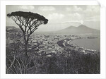 Napoli panorama, Italy by Giorgio Sommer