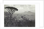 Napoli panorama, Italy by Giorgio Sommer