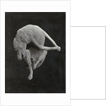 Pompeii impronte, Italy by Giorgio Sommer