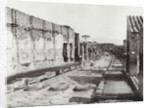 Pompeii Strada della Abbondanza, Italy by Giorgio Sommer