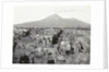 Pompei panorama, Italy by Giorgio Sommer