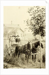 Two men and two women in a carriage with two horses before, against the backdrop of a wooden house by Anonymous