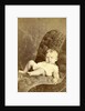 Portrait of a baby on a chair by Kameke