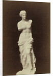 (Replica) Venus de Milo by Anonymous
