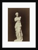 (Replica) Venus de Milo by Anonymous
