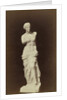 (Replica) Venus de Milo by Anonymous