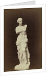 (Replica) Venus de Milo by Anonymous
