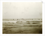 Sea North Sea, the Netherlands or Germany, with people swimming by Anonymous