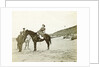 Man and woman on horseback on the beach, North Sea, the Netherlands or Germany by Anonymous
