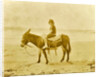 Girl on donkey on the beach North Sea, the Netherlands or Germany by Anonymous