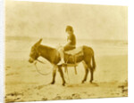 Girl on donkey on the beach North Sea, the Netherlands or Germany by Anonymous