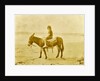 Girl on donkey on the beach North Sea, the Netherlands or Germany by Anonymous