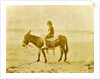 Girl on donkey on the beach North Sea, the Netherlands or Germany by Anonymous