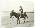 Girl on donkey on the beach (North Sea), the Netherlands or Germany by Anonymous