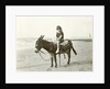 Girl on donkey on the beach (North Sea), the Netherlands or Germany by Anonymous