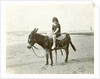 Girl on donkey on the beach (North Sea), the Netherlands or Germany by Anonymous