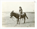 Girl on donkey on the beach (North Sea), the Netherlands or Germany by Anonymous