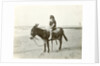 Girl on donkey on the beach (North Sea), the Netherlands or Germany by Anonymous