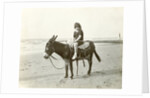 Girl on donkey on the beach (North Sea), the Netherlands or Germany by Anonymous