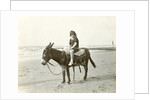 Girl on donkey on the beach (North Sea), the Netherlands or Germany by Anonymous