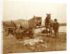 Two horses, a cart and a man in a trench by Anonymous