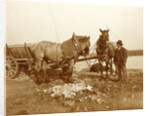 Two horses, a cart and a man in a trench by Anonymous