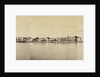 Panorama of the waterfront of Paramaribo, Suriname by Augusta Curiel