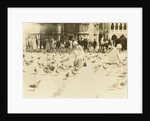 American tourists wearing pigeons in Piazza San Marco, Venice, Italy by Anonymous