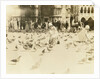 American tourists wearing pigeons in Piazza San Marco, Venice, Italy by Anonymous