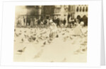 American tourists wearing pigeons in Piazza San Marco, Venice, Italy by Anonymous