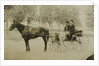 William and Henry Titus in Prospect Park, Brooklyn NY USA by American Photograph Company